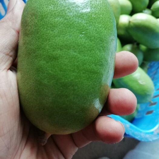 香水柠檬无籽香水柠檬果