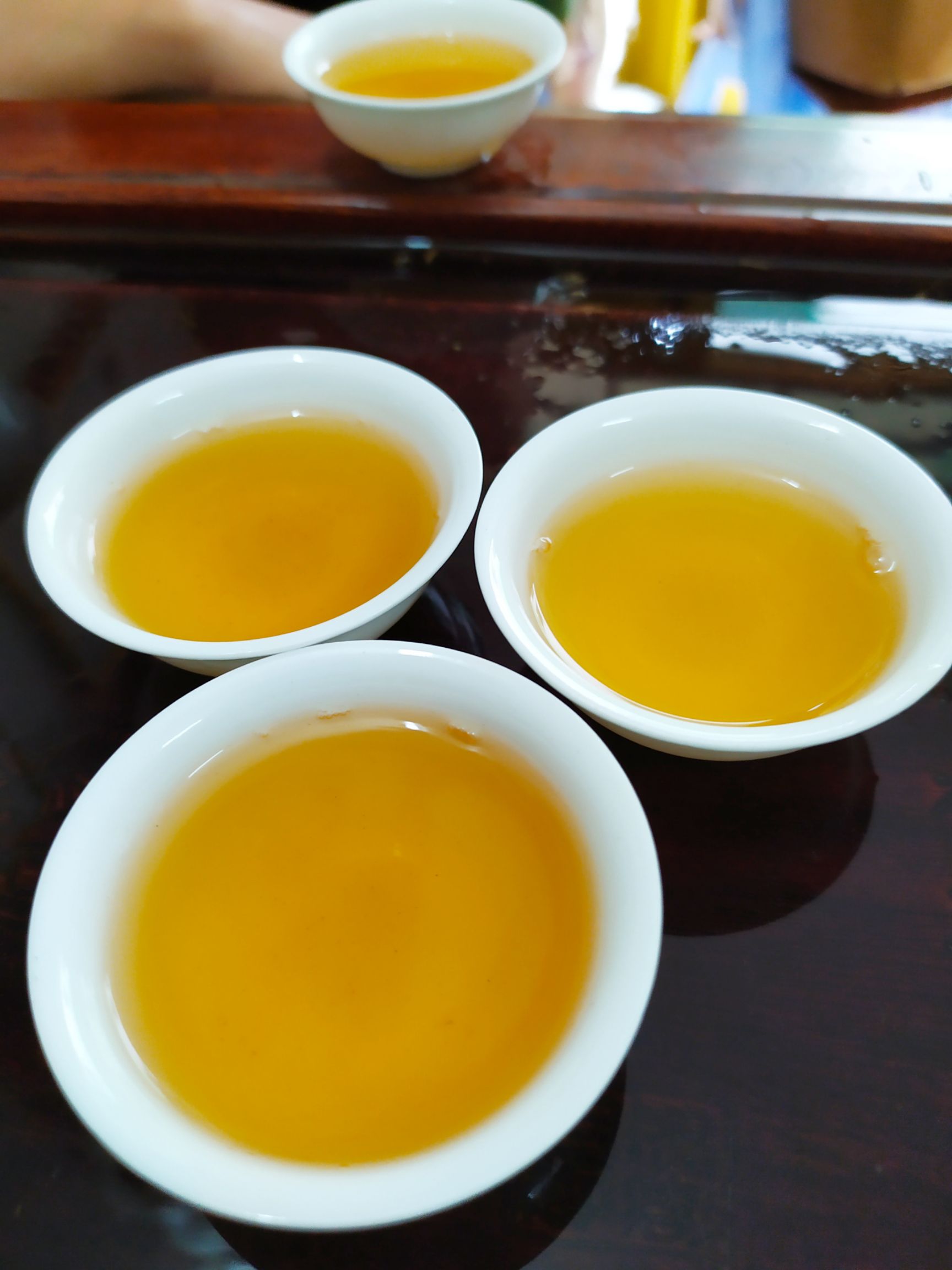 乌龙茶  高山茶叶大坪八仙茶潮汕八仙茶叶惠来土山茶高山香八仙