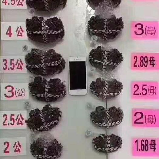兴化市 大闸蟹