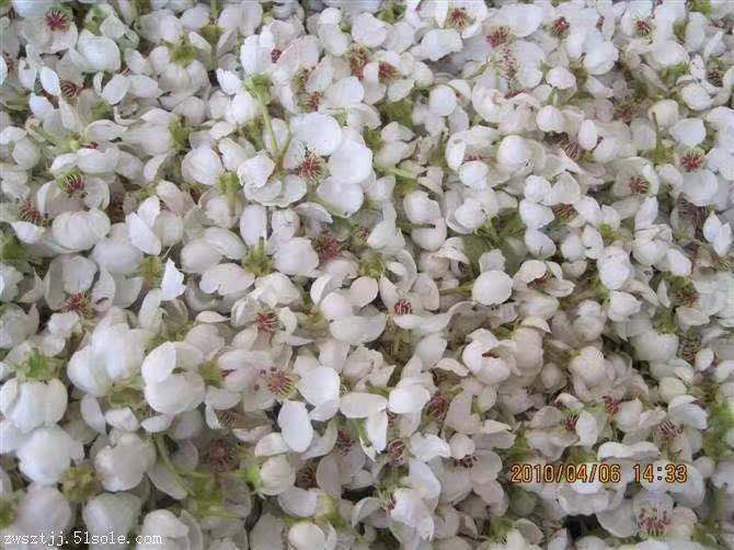  厂家直销赵州梨花粉，果树授粉用活性梨花粉