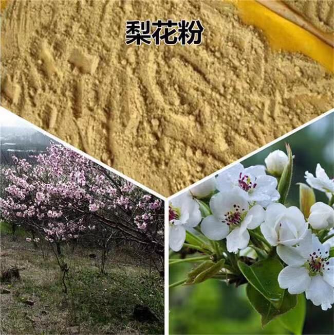  厂家直销赵州梨花粉，果树授粉用活性梨花粉