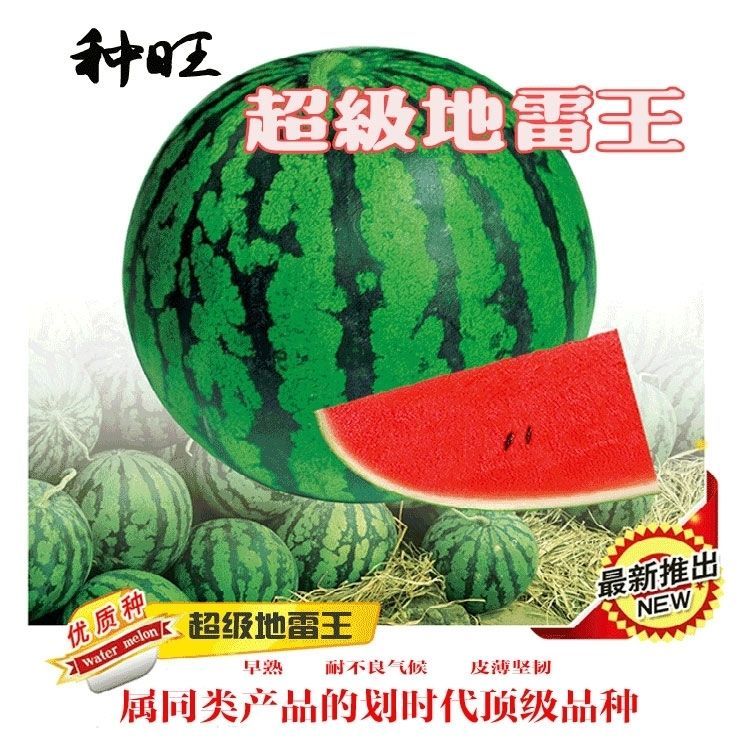  【超级地雷王】西瓜种子早熟大果地雷瓜西瓜种子皮薄耐裂耐重茬