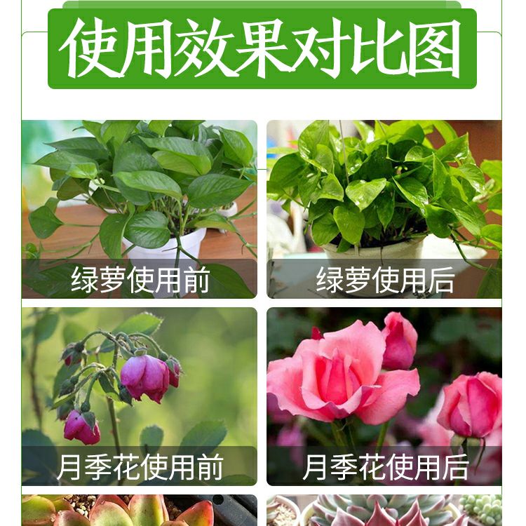  粉状硫酸亚铁花用 酸性 茉莉茶花园艺通用型肥料花卉营养液溶