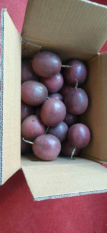  云南百香果5斤大果新鲜现货包邮非广西百香果一件代发微商