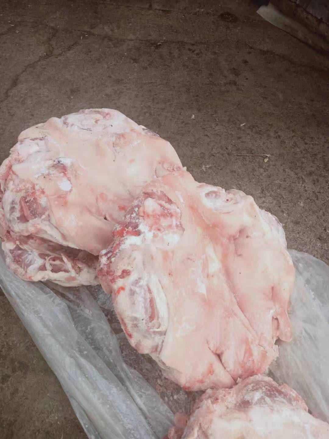 鲜猪头 无耳头