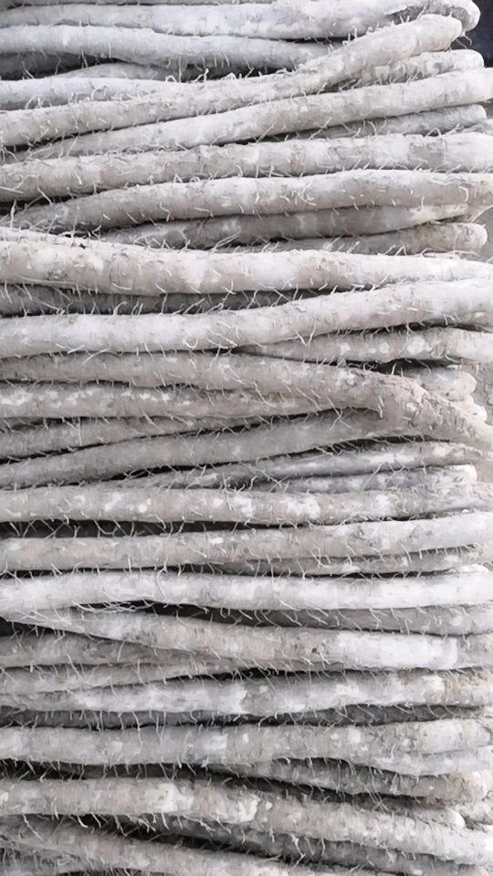 小白嘴山药  欢迎选购，交天下朋友