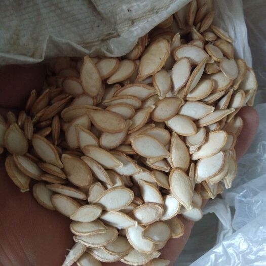 荆门南瓜子 农户土南瓜干生