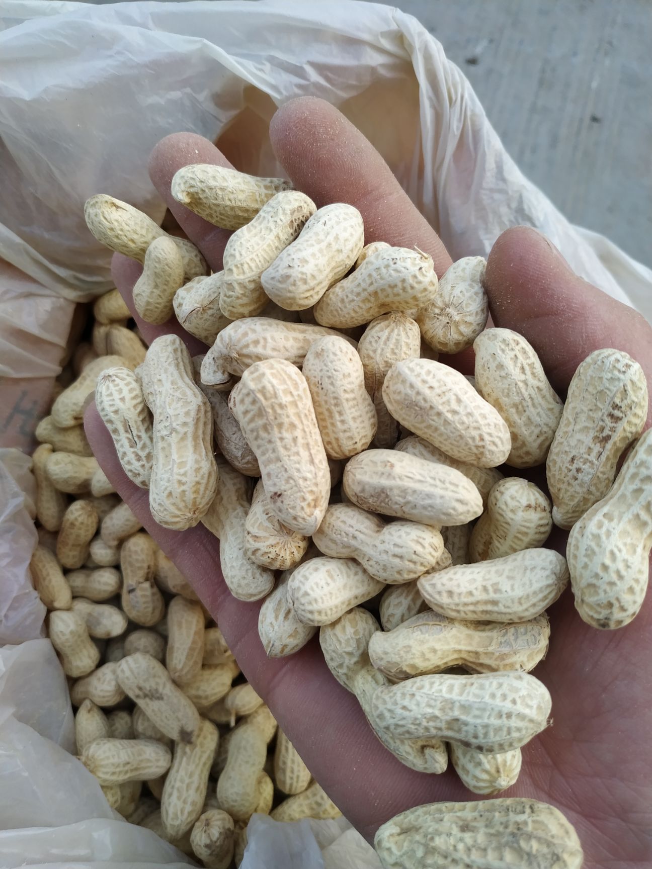 炒花生 原味花生