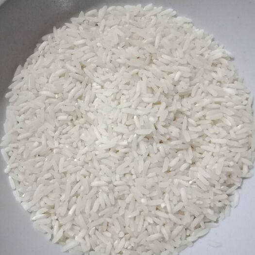 清原县香米 红优6号香软米