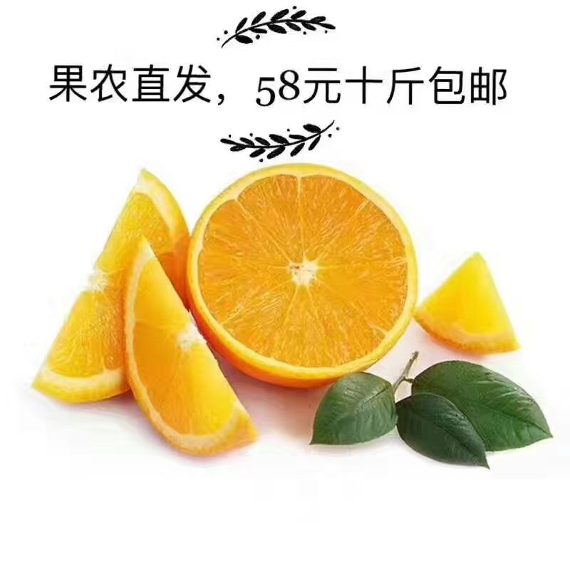 麻阳冰糖橙 55-65mm 4两以下