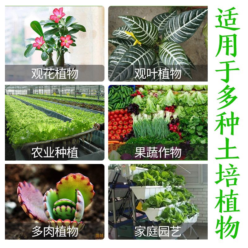  粉状硫酸亚铁花用 酸性 茉莉茶花园艺通用型肥料花卉营养液溶