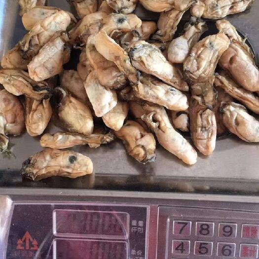 汕尾辰州生蚝 正宗晨州蚝干