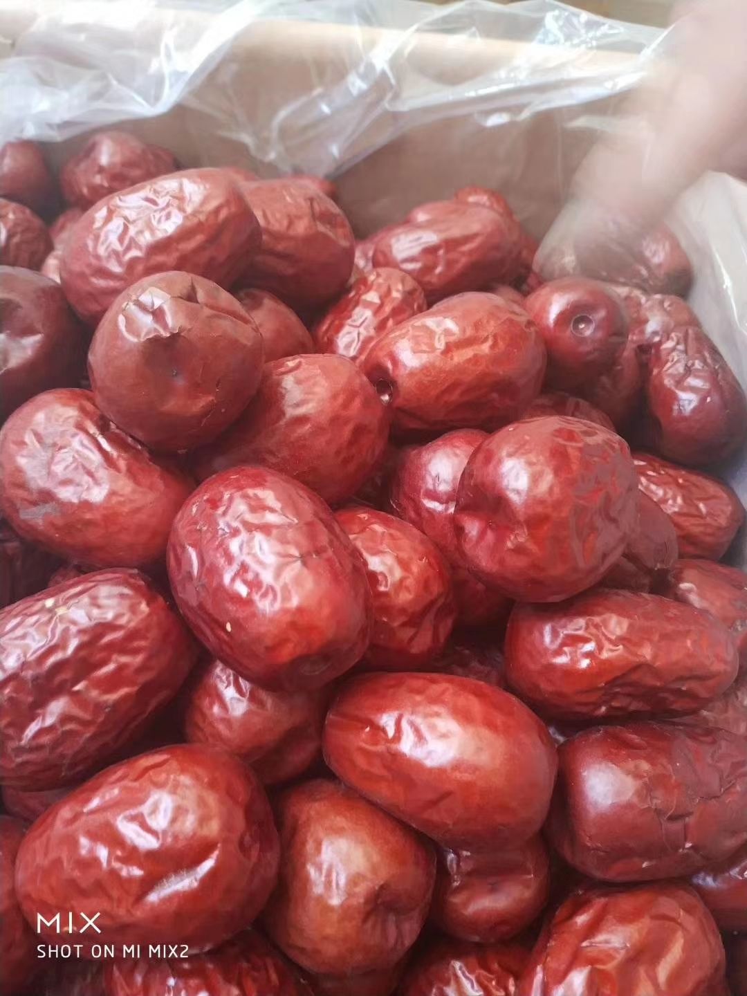  红枣 狗头枣 大红枣