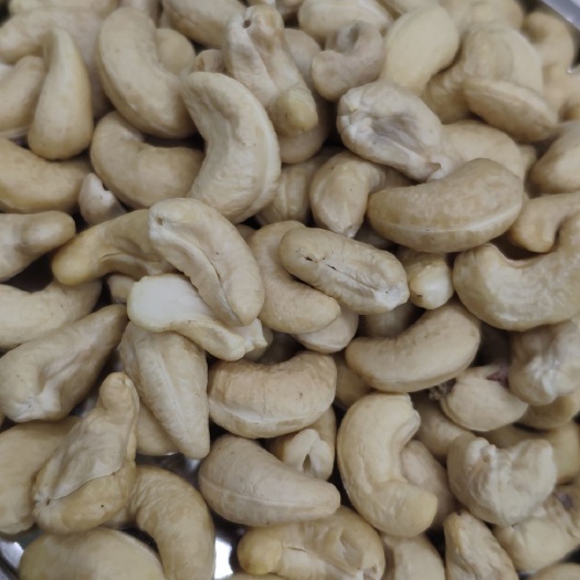 阳江 越南生生腰果仁500g包邮WW320原味零食坚果特产