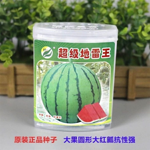 樟树市 【超级地雷王】西瓜种子早熟大果地雷瓜西瓜种子皮薄耐裂耐重茬