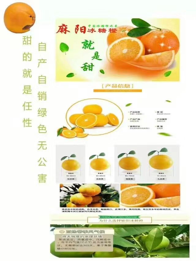 湖南麻阳冰糖橙