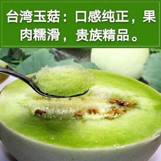 玉菇甜瓜 2斤以上 玉菇甜瓜