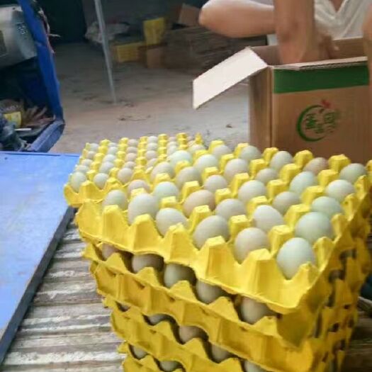 睢县红皮鸡蛋 每天暂时供货10吨左右欢迎各位下单