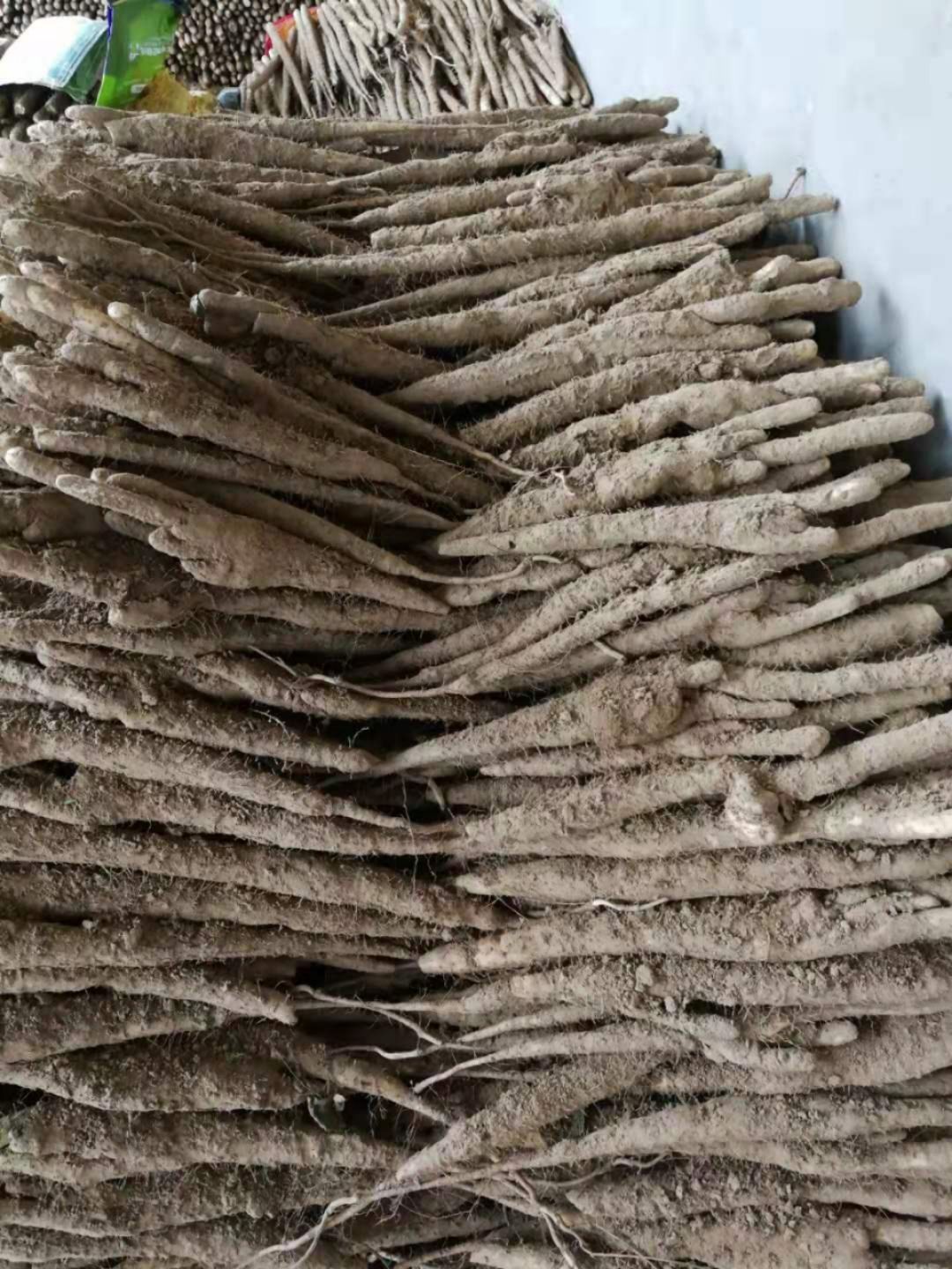 小白嘴山药  欢迎选购，交天下朋友