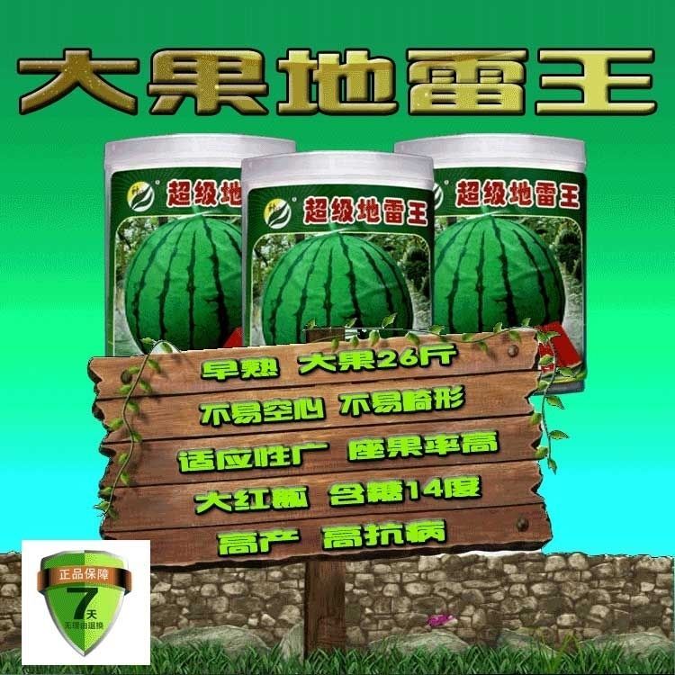  【超级地雷王】西瓜种子早熟大果地雷瓜西瓜种子皮薄耐裂耐重茬