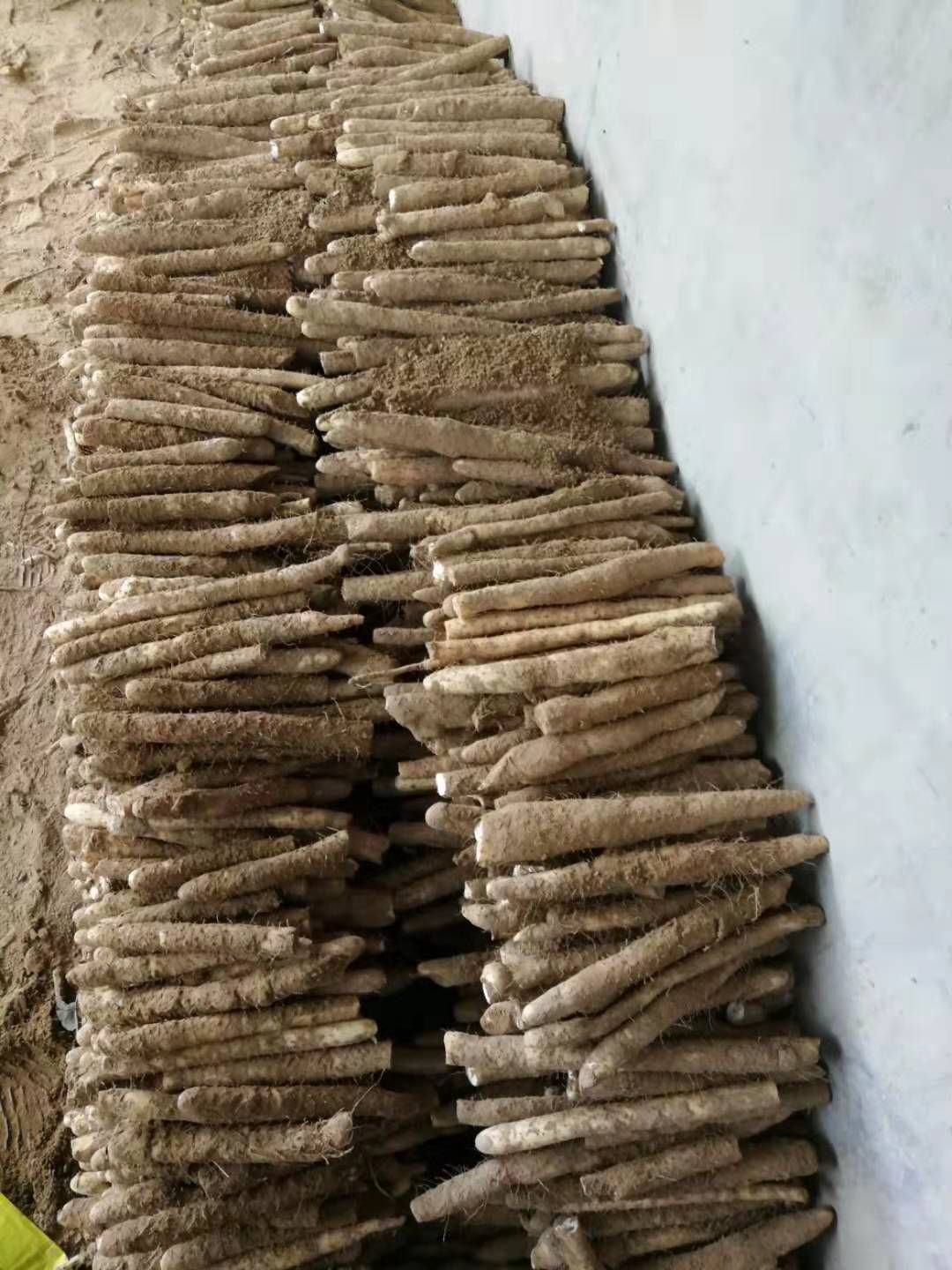小白嘴山药  欢迎选购，交天下朋友