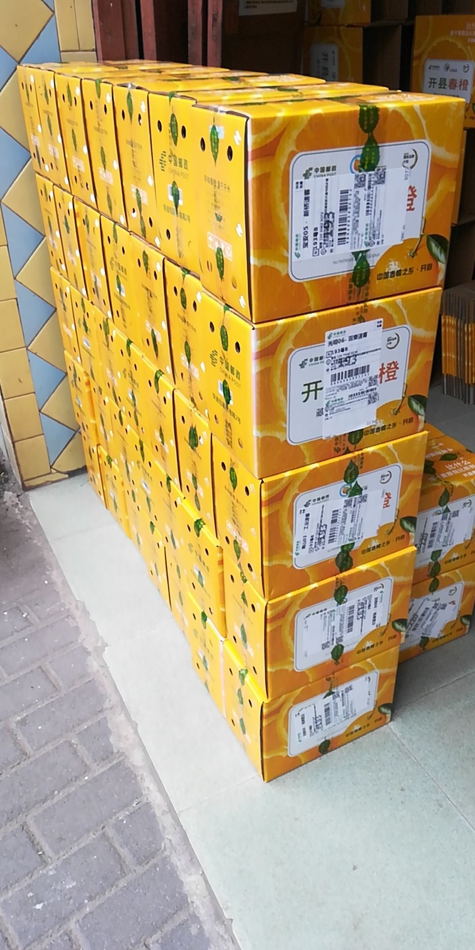 北碚447 重庆开州脐橙60元/件/10斤