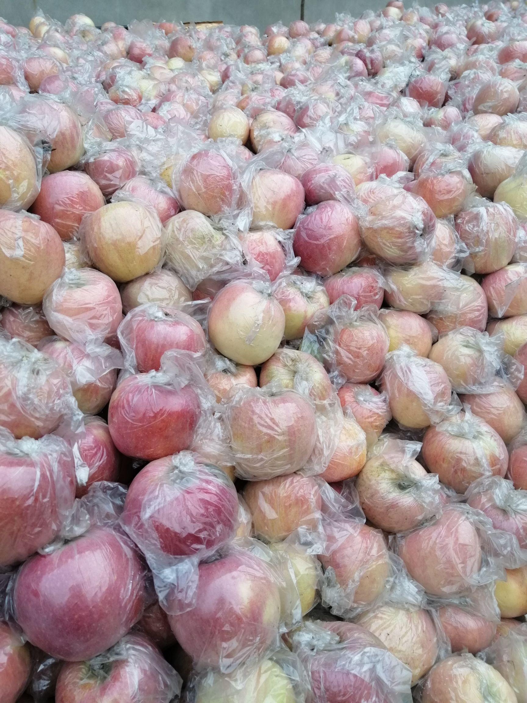 红富士苹果 山西红富士产地直销 一件代发 膜袋 品质保证