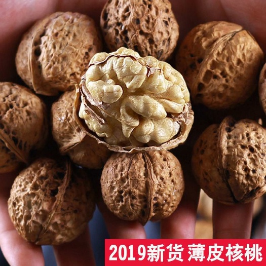 迁安市 正宗云南纸皮核桃新鲜。皮薄。5斤60元包邮