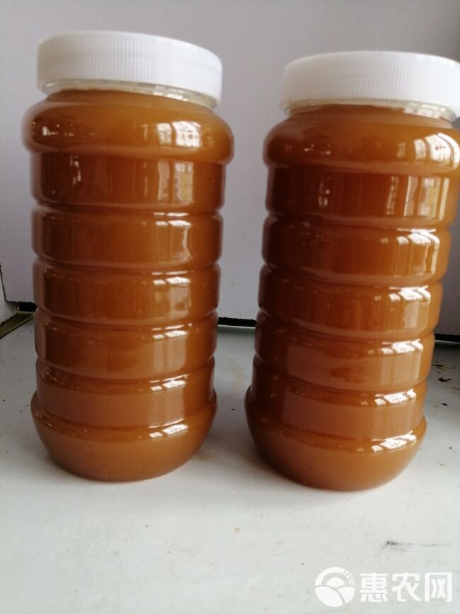 荔枝蜜鲜蜜蜂农自产口味纯正原蜜不加工23年新蜜批零