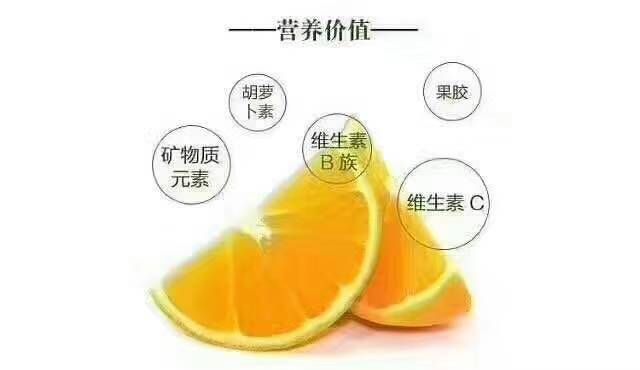  正宗湖南麻阳冰糖橙