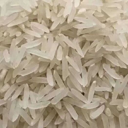 庐江县丝苗米 生态米