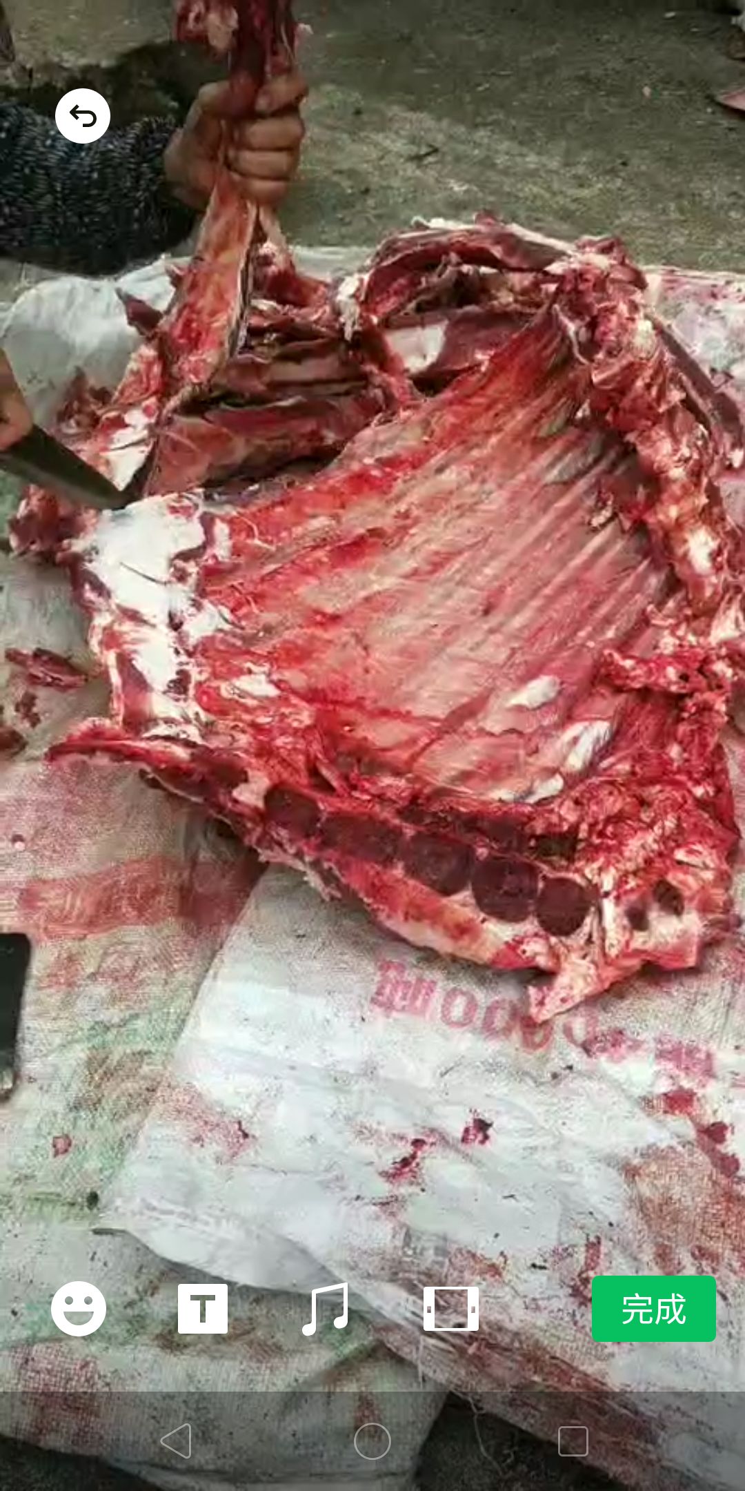 牛肉类  牛肉