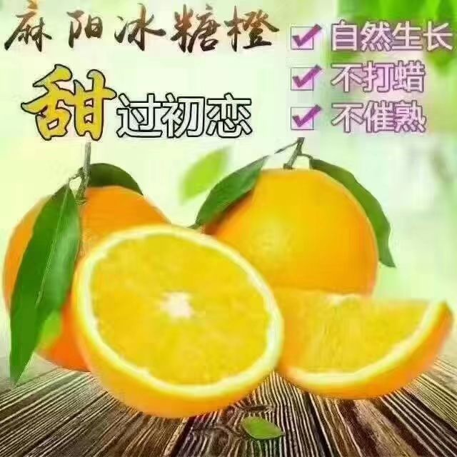  麻阳冰糖橙
