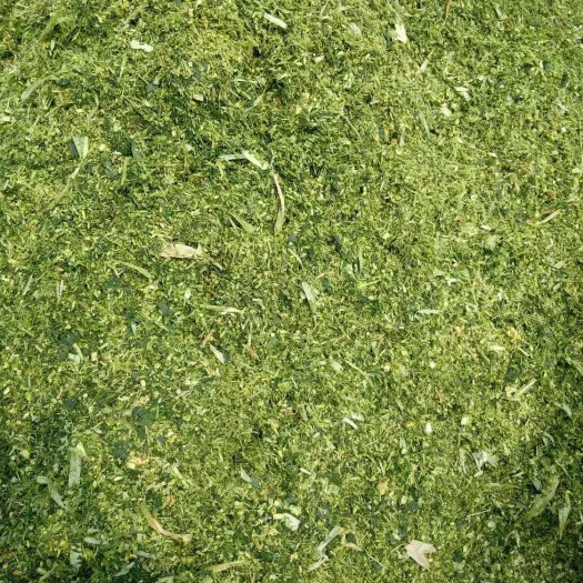 宿州 玉米秸秆青储