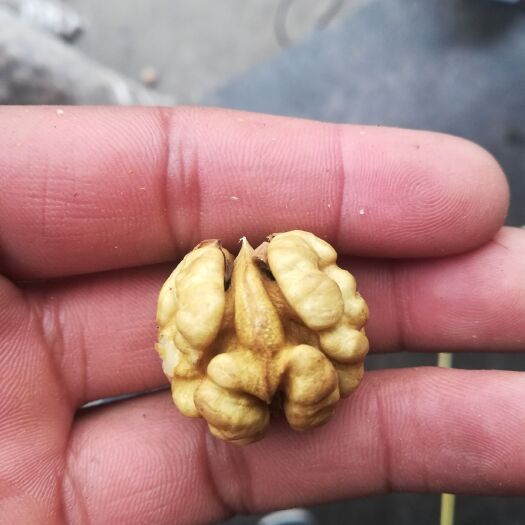 宁强县 干核桃，自然脱落自然晾晒，全白仁纸皮核桃