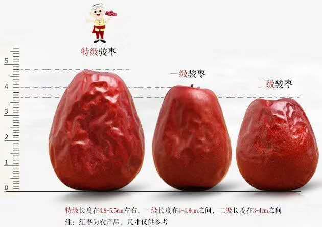  红枣 狗头枣 大红枣
