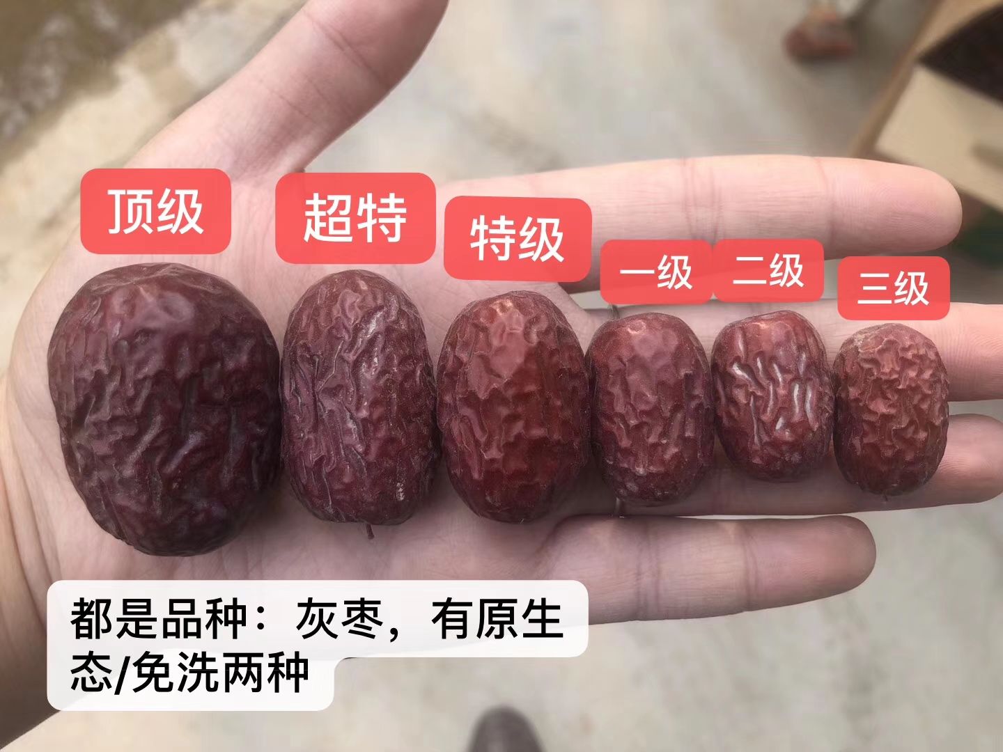 灰枣  2新货新疆特产新疆红枣煲汤部分包邮