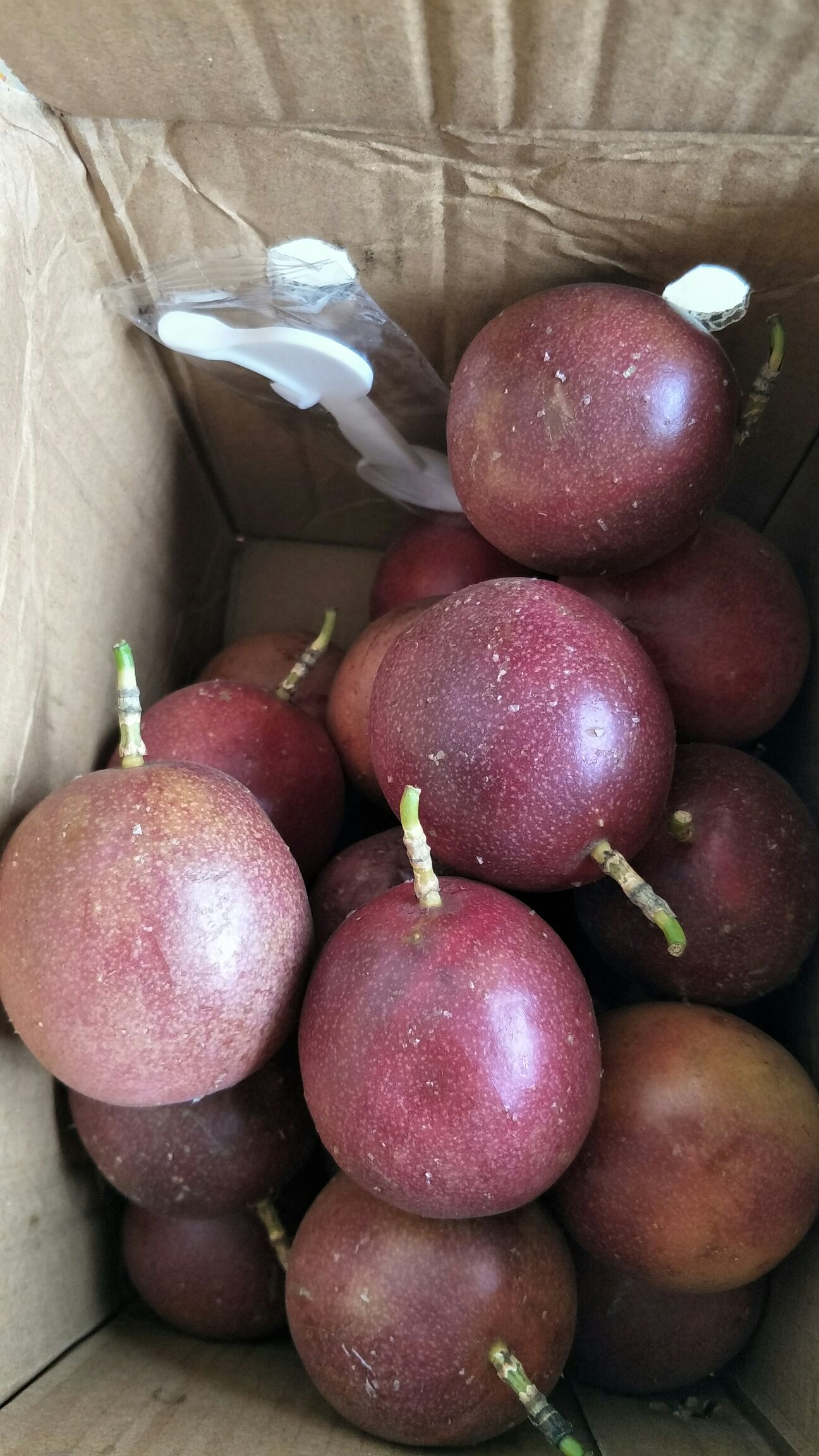  云南德宏百香果大果5斤38个新鲜现货大量供应