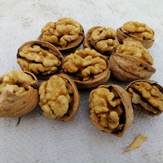 平山县 薄皮新疆核桃，核桃仁。新二核桃