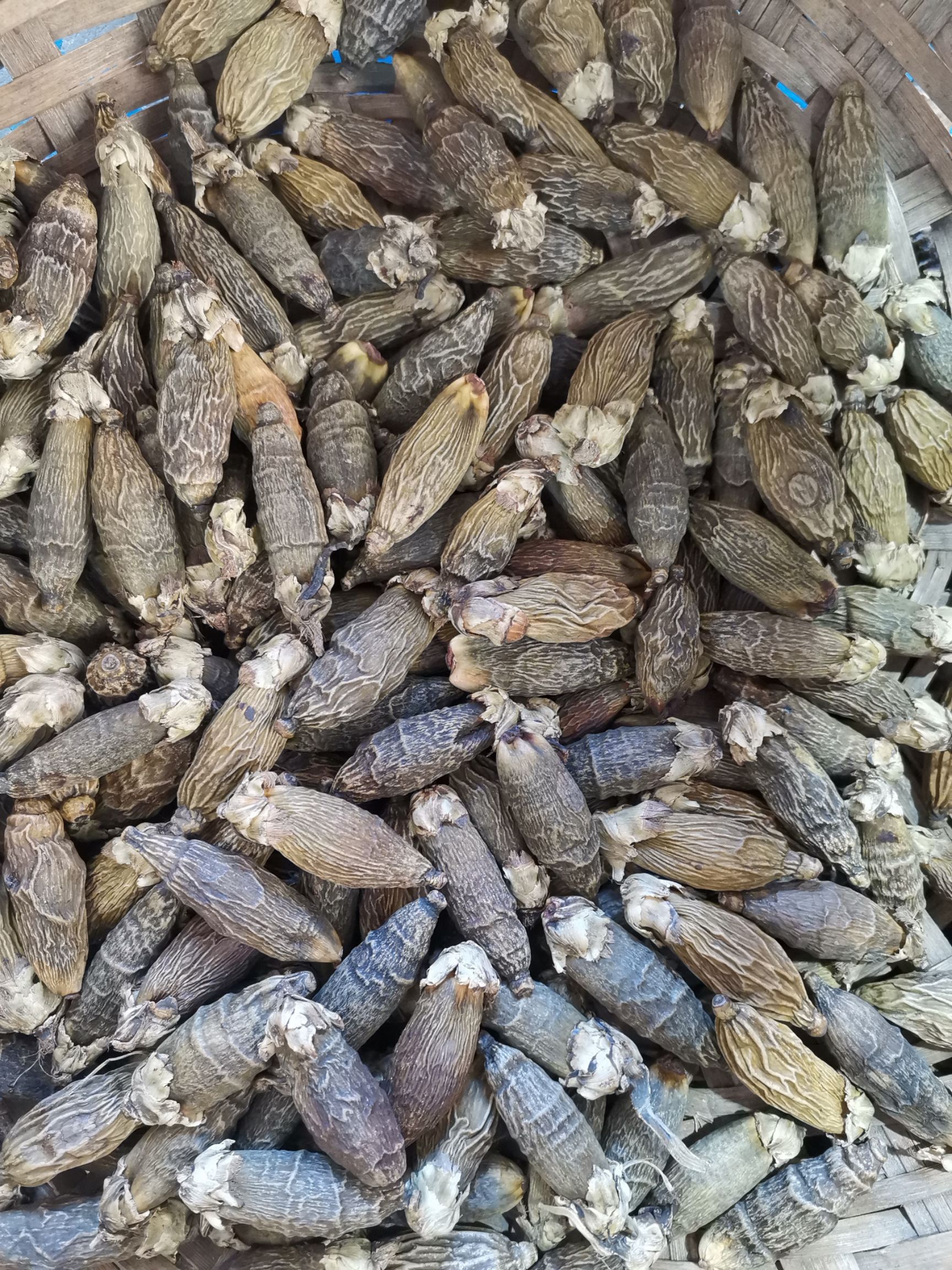 槟榔皮  槟榔原籽大量现货出售