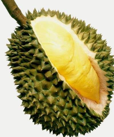 广州泰国金枕榴莲 泰国金枕头，口感好，核小，皮薄