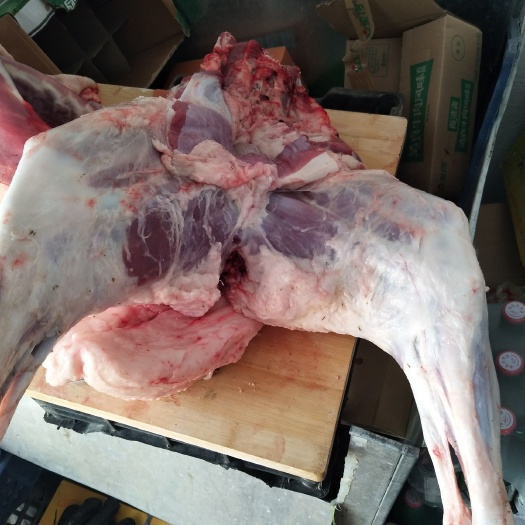 额尔古纳 呼伦贝尔羊肉，可分割，羊前腿，后腿，肋扇