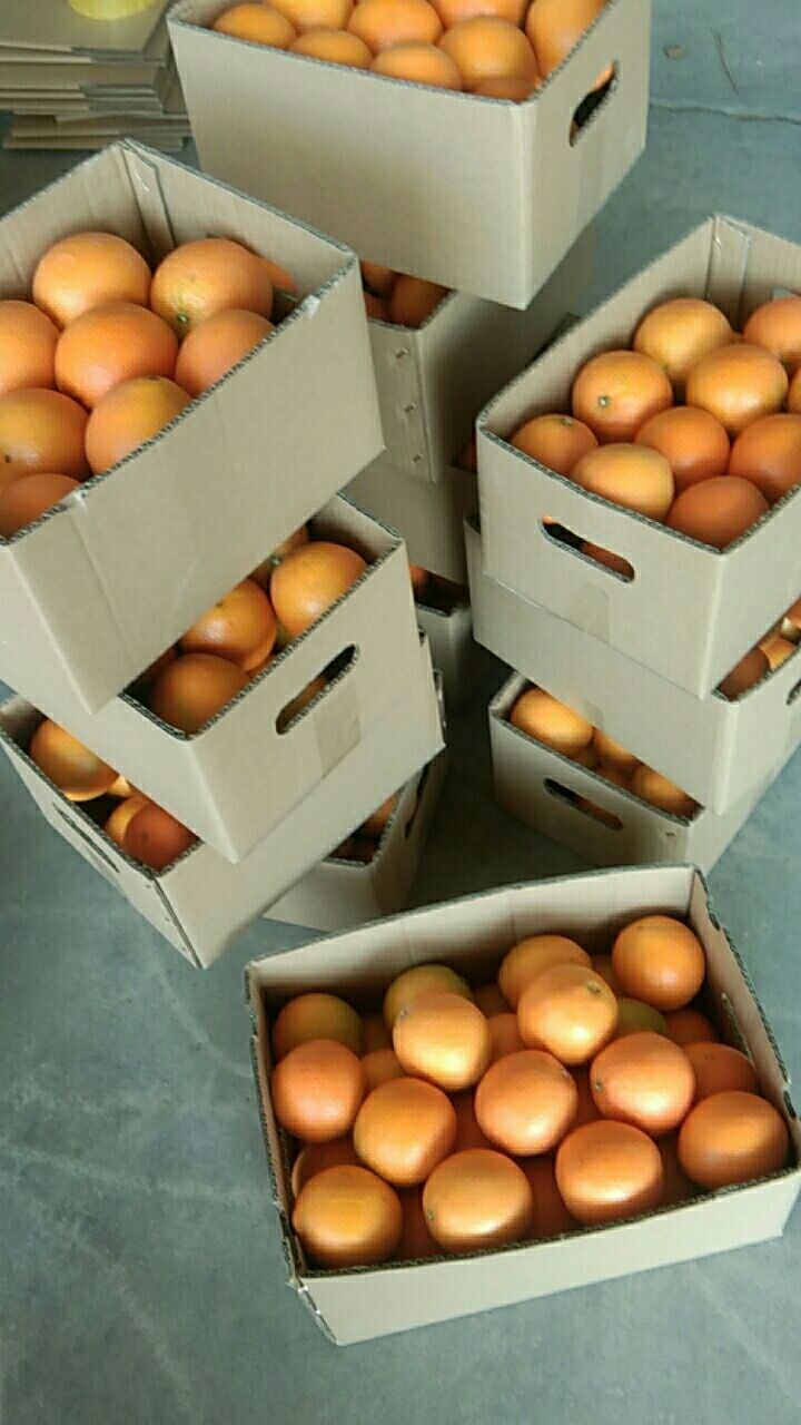 赣南脐橙发货了，一件代发