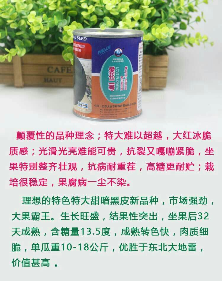  爱花二号西瓜种子黑皮西瓜种子品种大红瓤皮薄籽少高糖度耐重茬