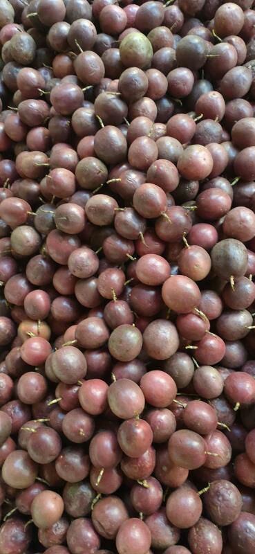  云南百香果5斤大果新鲜现货包邮非广西百香果一件代发微商