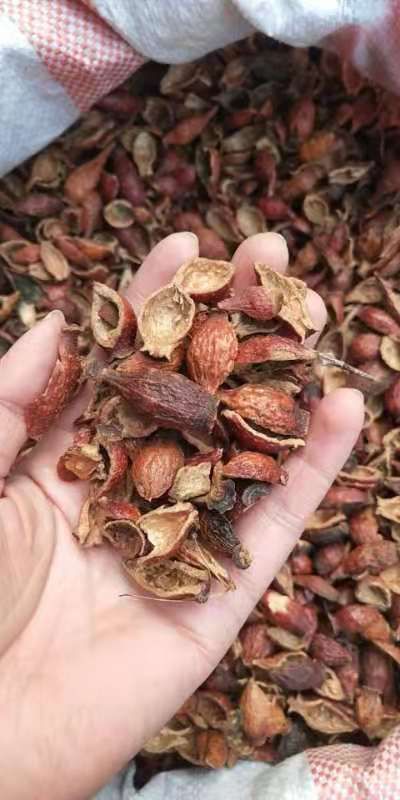 金樱子 个肉 药食两用 规格齐 泡酒 泡水  一公斤起包邮