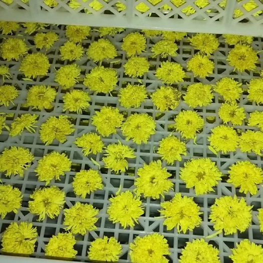 烘干机 烘干菊花药材，枸杞，腐竹等