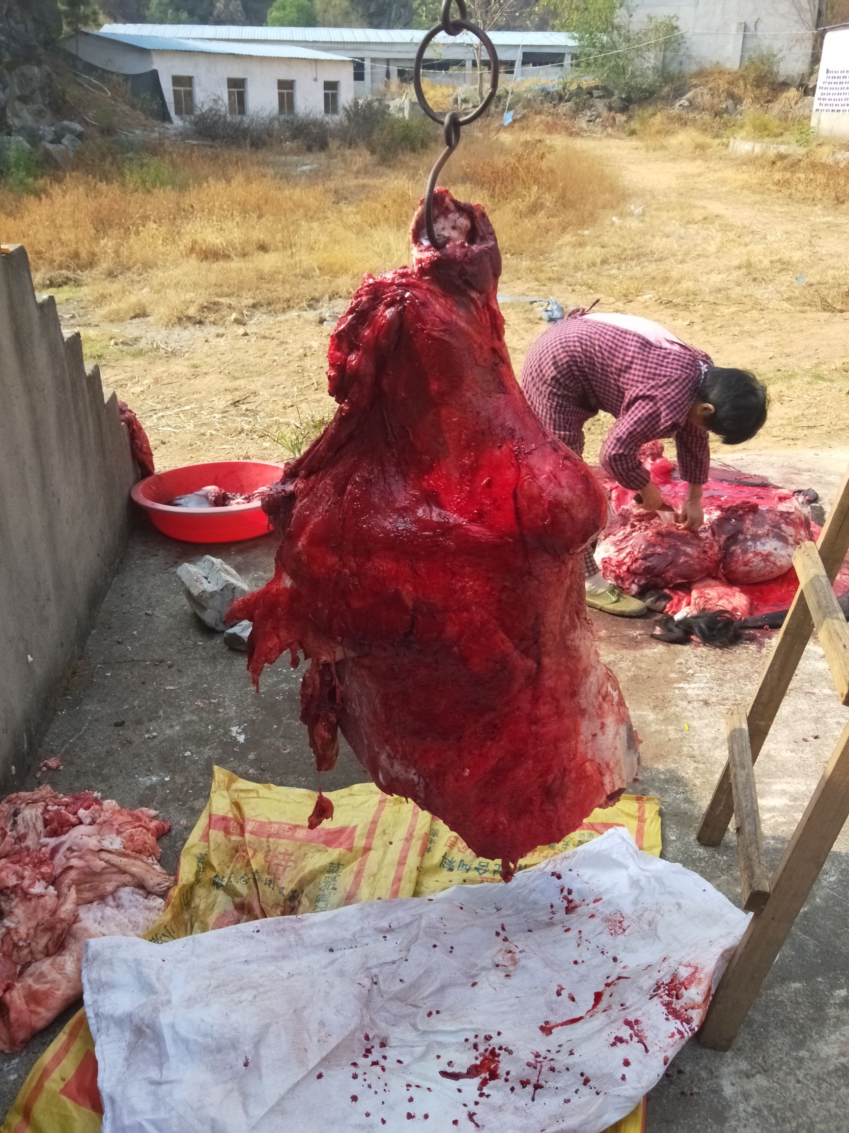 牛肉类  牛肉