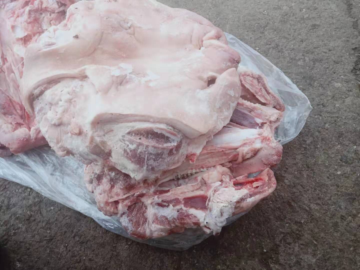 鲜猪头 无耳头