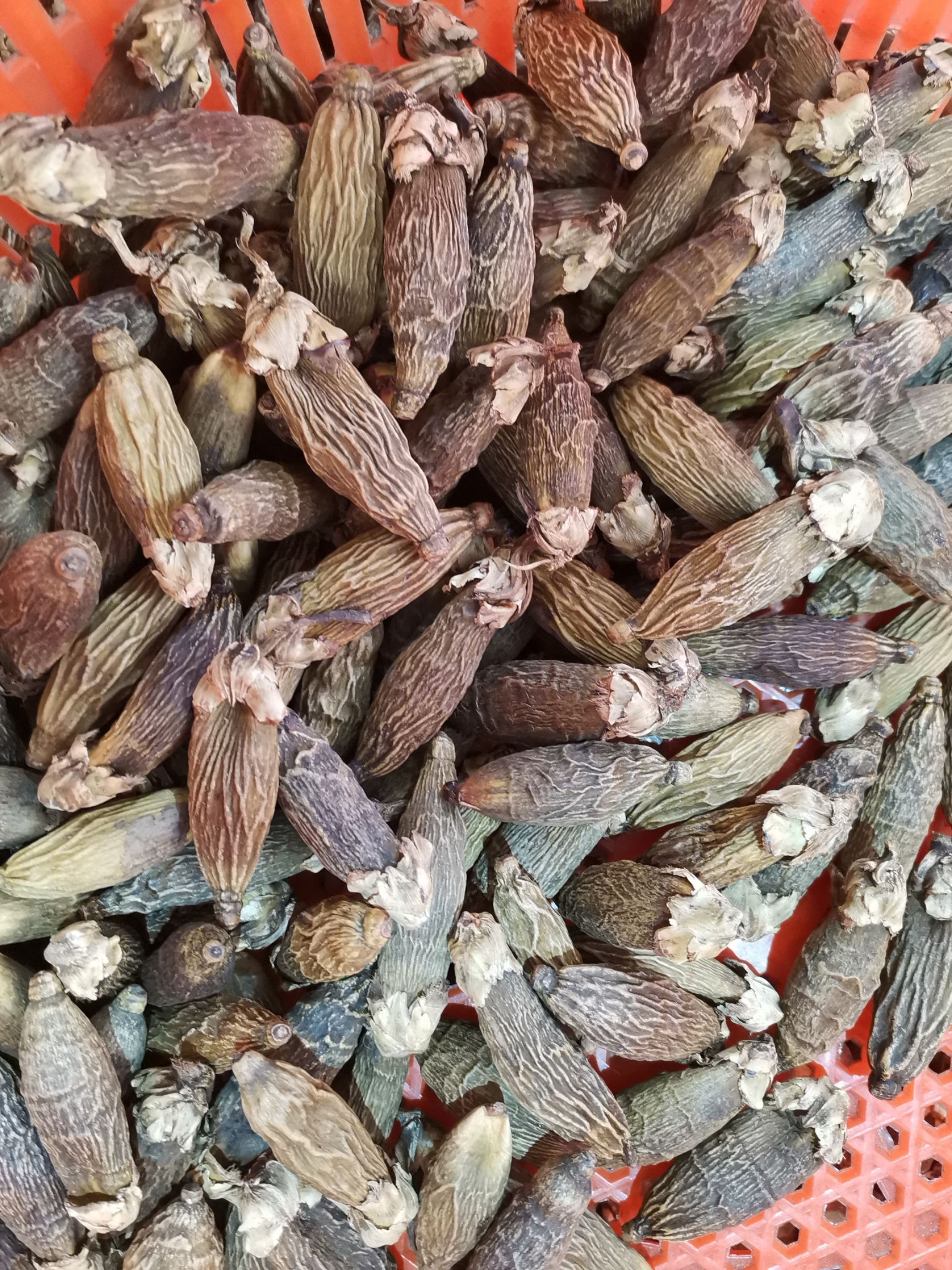 槟榔皮  槟榔原籽大量现货出售